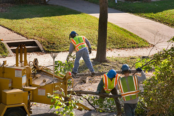 Mulching Services in Basking Ridge, NJ